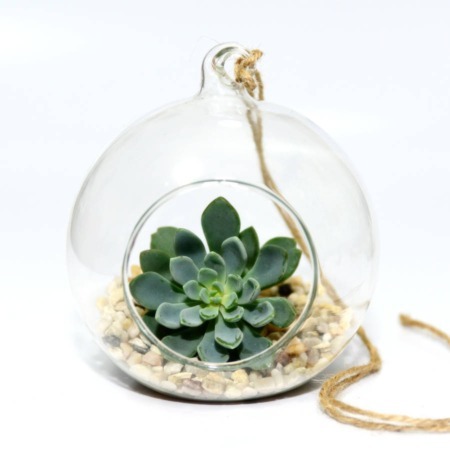 Terrarium Hanging Bauble with Circular Opening